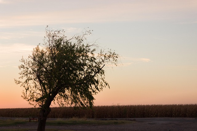 Free Sunset Farm photo and picture