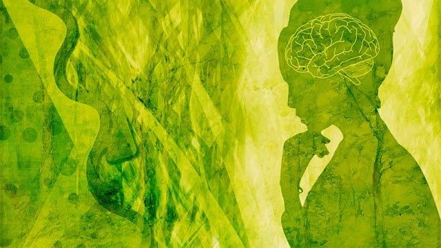 Download free HD stock image of Woman Brain Free woman brain mindset illustration