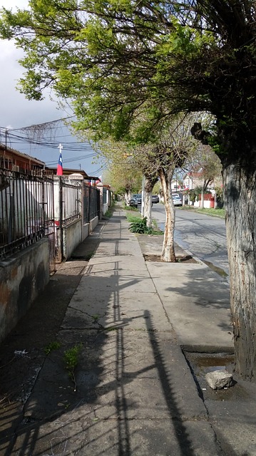 Free Camino Calle photo and picture