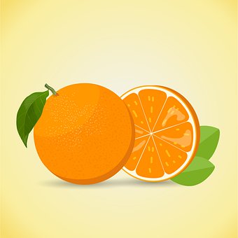 Free Orange Fruit illustration and picture