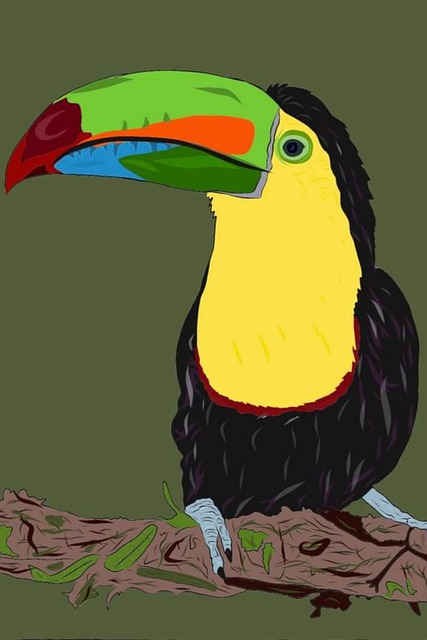 Free Birds With Colors Birds illustration and picture