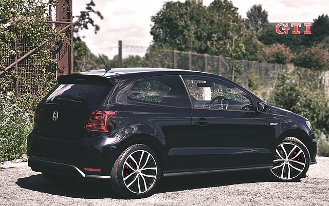 Free Polo Vw photo and picture