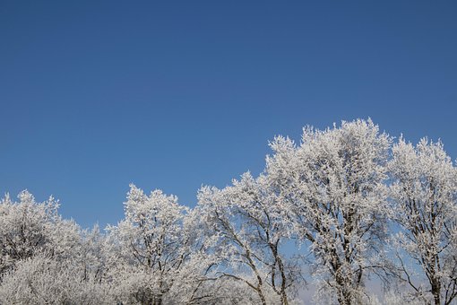 Free Nature Frost photo and picture