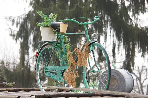 Cykel, Natur, Sommer, Frihed, Sjovt