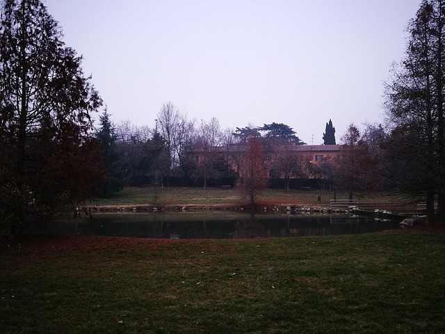 Free Park Winter photo and picture