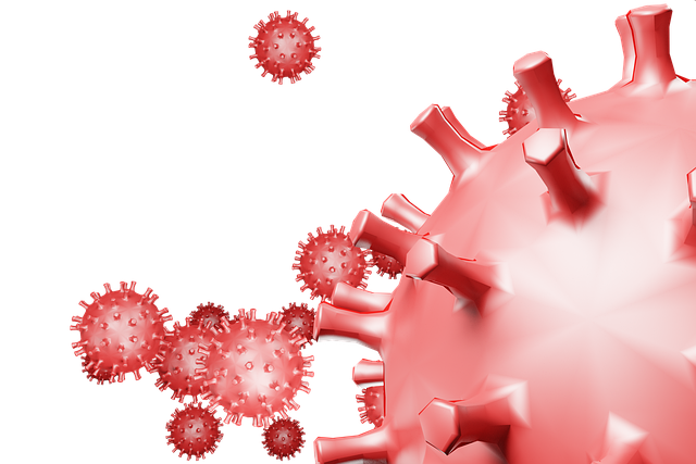 Free corona coronavirus virus illustration