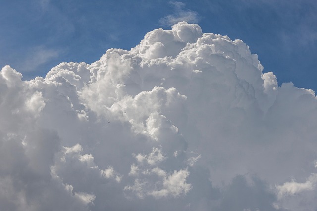 Wolken, Himmel, Blau, Weiß, Vögel, Tag