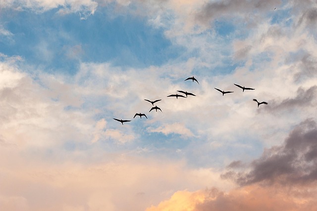 Himmel, Licht, Leichte Wolken