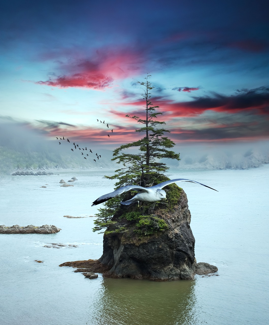 island-6006756_1280.jpg