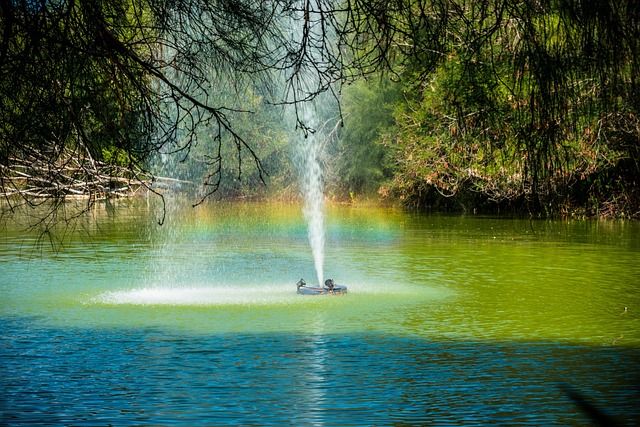 Free Source Pond photo and picture