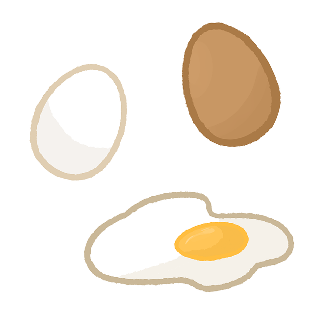 Free egg shell fried egg illustration