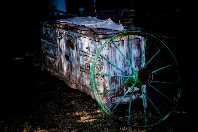 Free Wheel Cart photo and picture