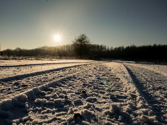 Free Cold Snowy photo and picture
