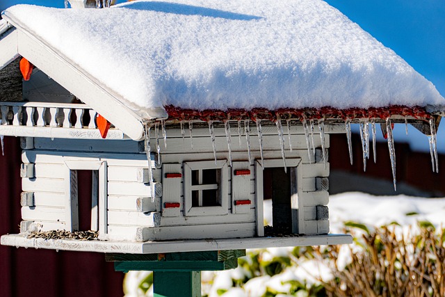 Free Bird House Bird Feeder photo and picture