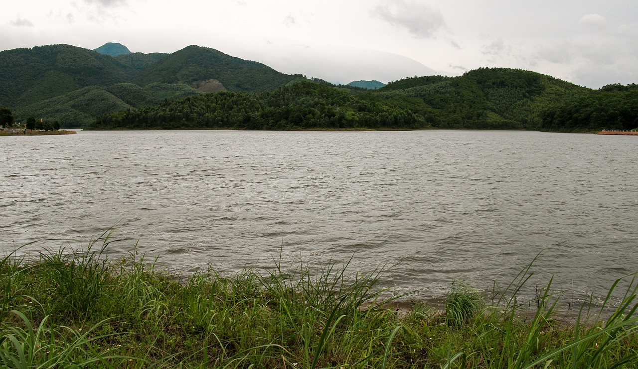 Lake Grass By The Moutain Free photo on Pixabay Pixabay