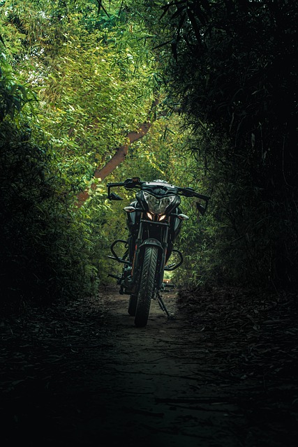 Free Automotive Bike photo and picture