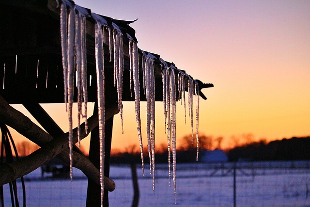 Free Icicle Ice Cream photo and picture