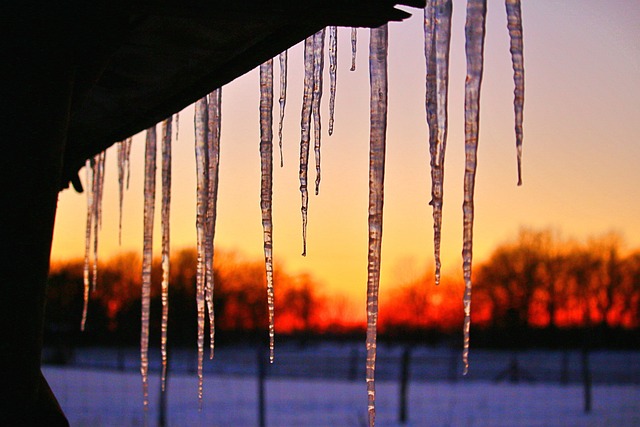 Free Sunset Winter photo and picture