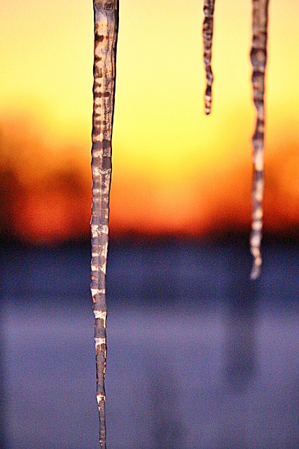 Free Ice Cream Icicle photo and picture