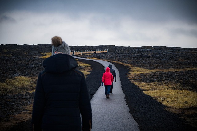 Free Path Field photo and picture