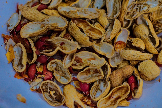 Free Peanuts Shell photo and picture