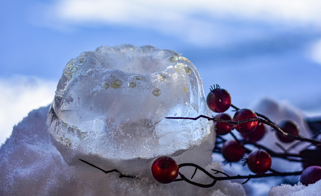Ice Frozen Frost Free photo on Pixabay Pixabay