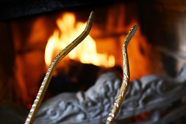Free Forceps Fire photo and picture