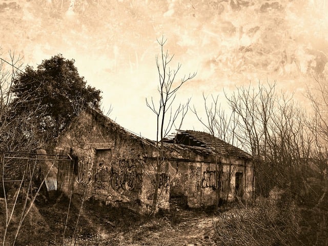 Free house ruin abandoned illustration