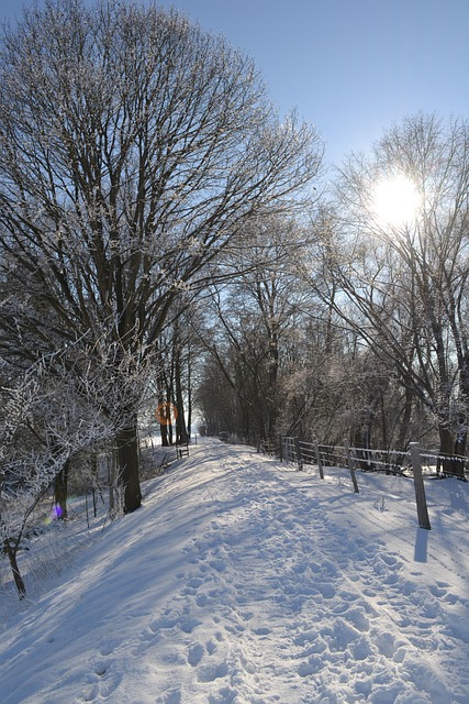 Free Winter Landscape Sun photo and picture