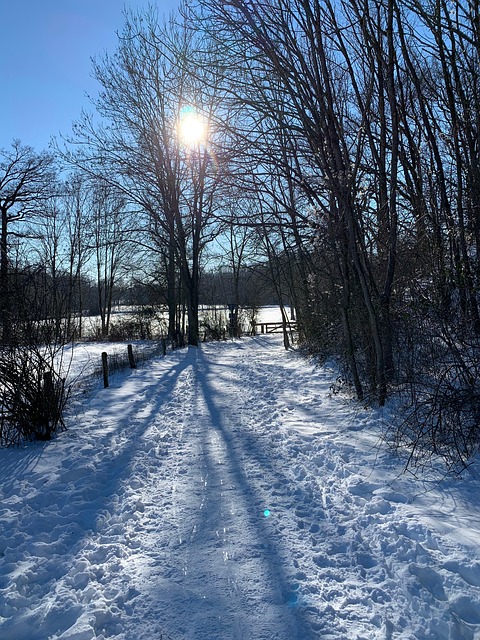 Free Winter Sun photo and picture