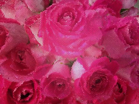 Free Rose Flower illustration and picture