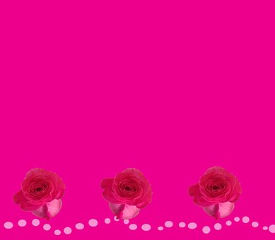 Free Roses Valentines Day photo and picture