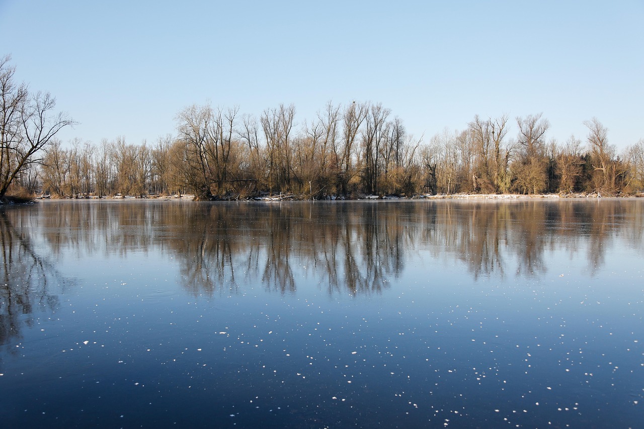 Iced Reflection Reflection Ice Cream Water - Free photo on Pixabay - Pixabay