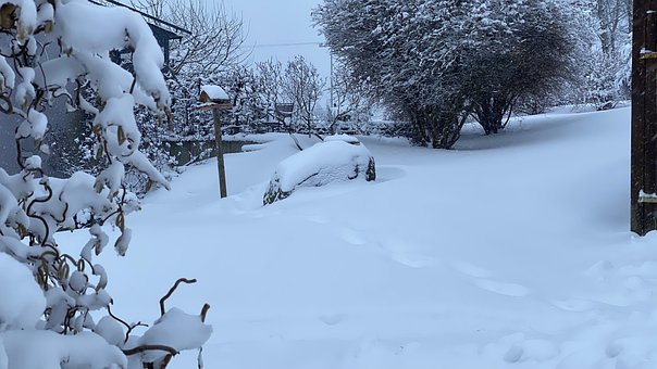 Free Snow Winter photo and picture