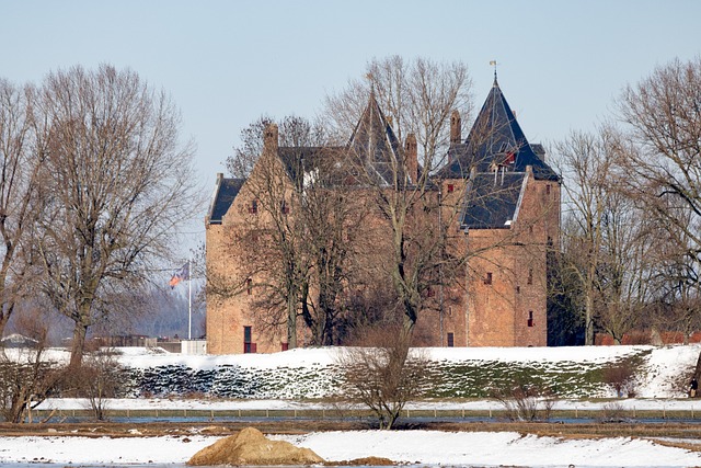 Free Loevestein Snow photo and picture