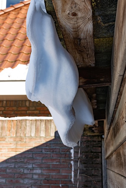 Free Snow Winter photo and picture
