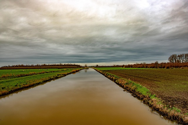Free Altena Almkerk The Netherlands photo and picture