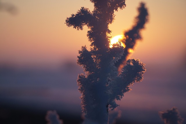 Eiskristalle, Sonnenlicht, Winterzauber