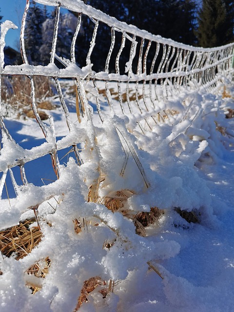 Free Fence Ice Cream photo and picture