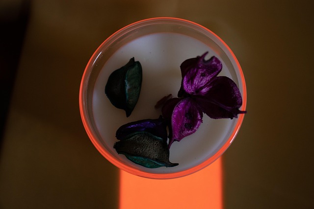 Free Flowers Candle photo and picture