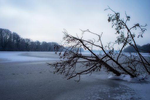 Eis, Kälte, Schnee, Winter, Frost, Natur
