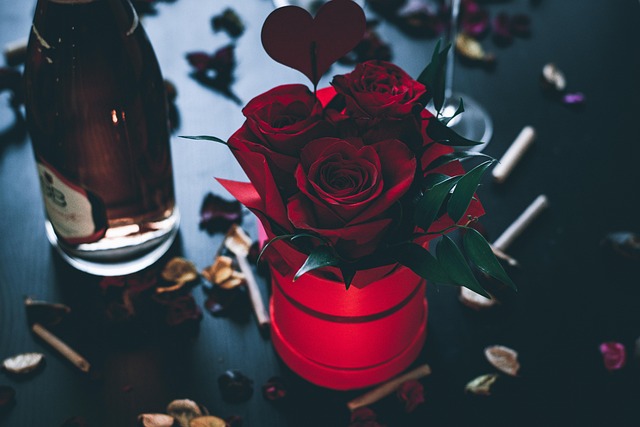 Valentinstag, Blume, Rose, Rot