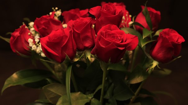 4+ Free Dozen Roses & Flowers Images