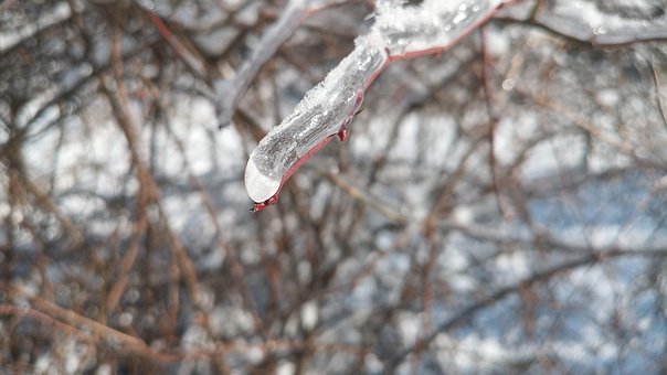 Free Icing Ice photo and picture
