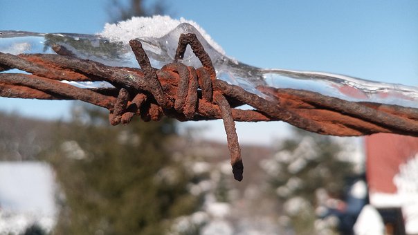 Free Wire Rusty photo and picture