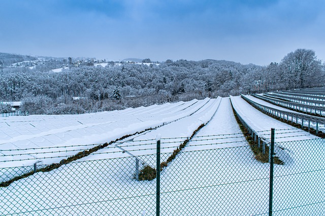 Solaranlage, Winter, Solarpark, Schnee