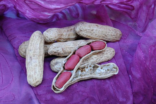 Maní, Comida, Agro, Alimentos, Nueces