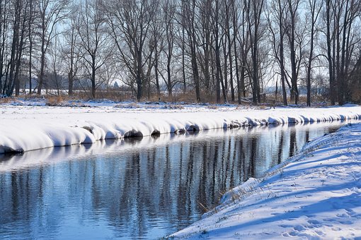 Rivier, Bank, Winter, Sneeuw, Bomen