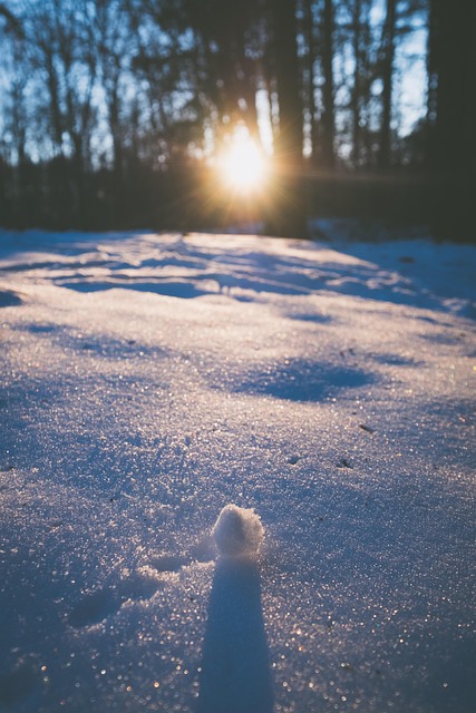 Sne, Vinter, Natur, Landskab, Kold, Is