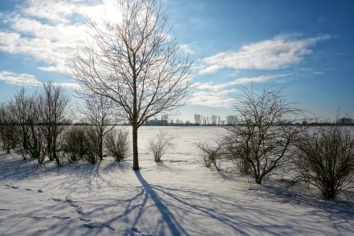 Winterlandschap, Niederrhein, Zon